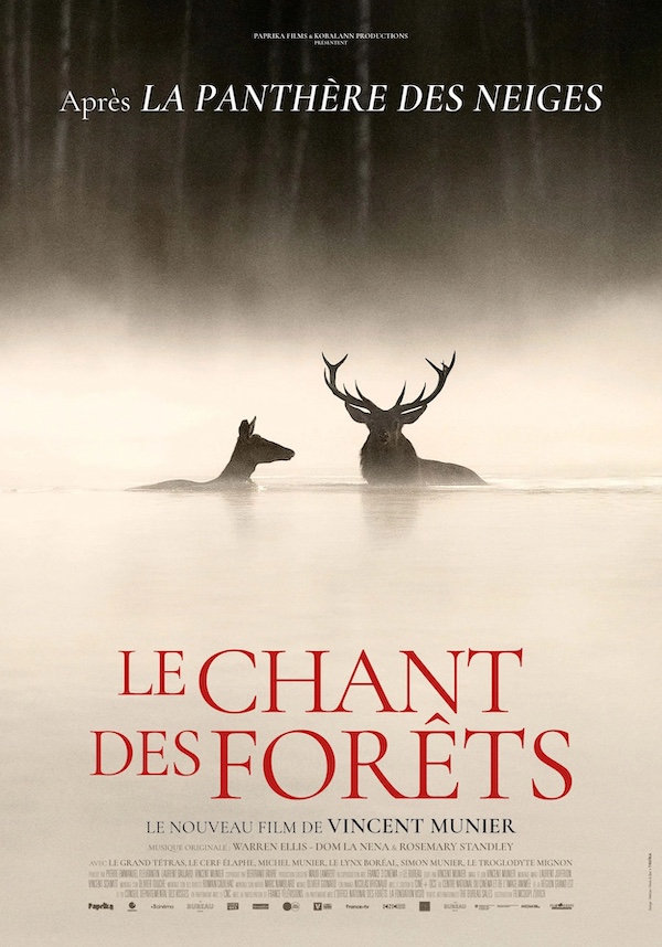 chantdesforets