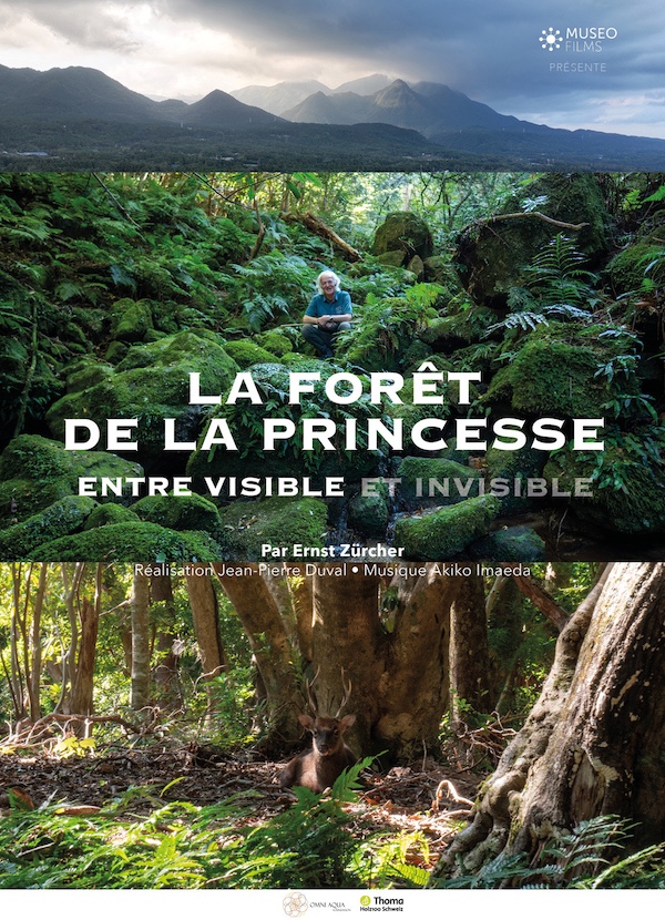laForetPrincesse